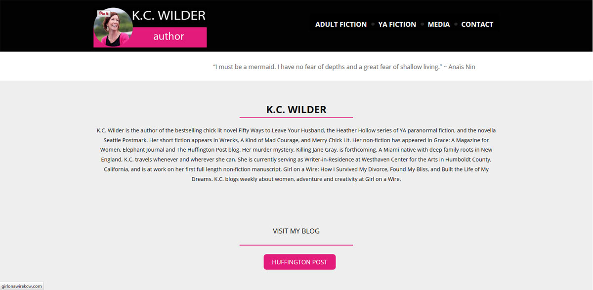 Website design for Karen Chilton Wilder, AKA Girl on a Wire.