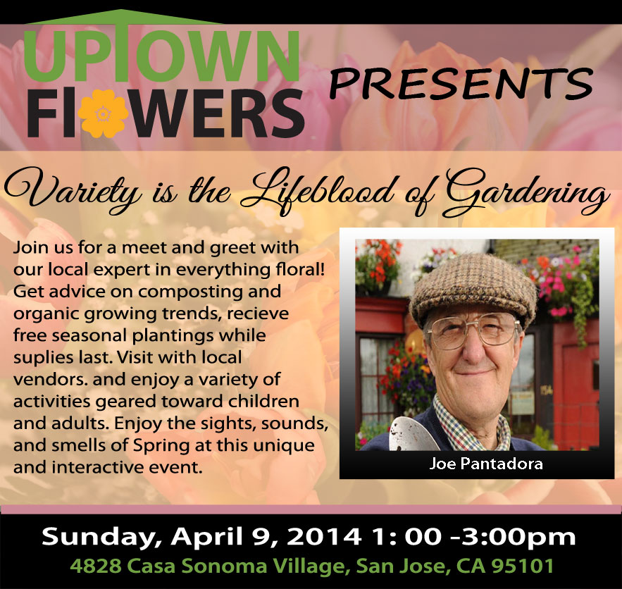 Graphic design poster about Uptown Flowers and a garden presentation.